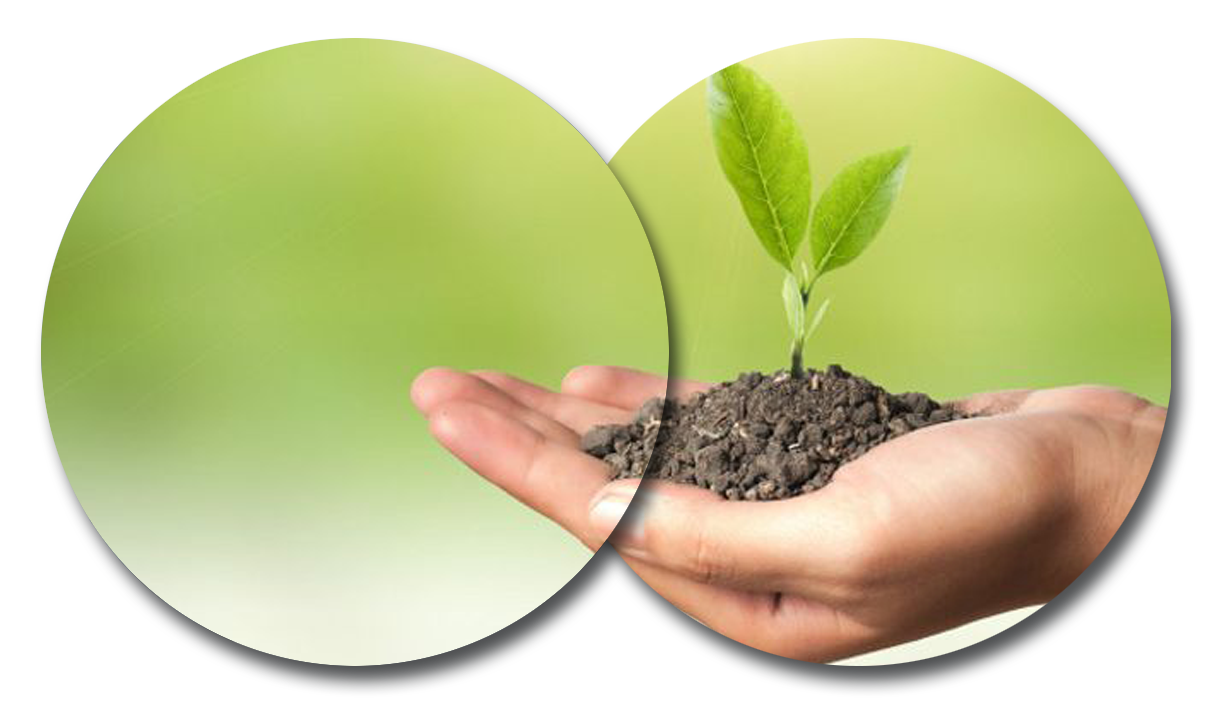 sustentabilidade